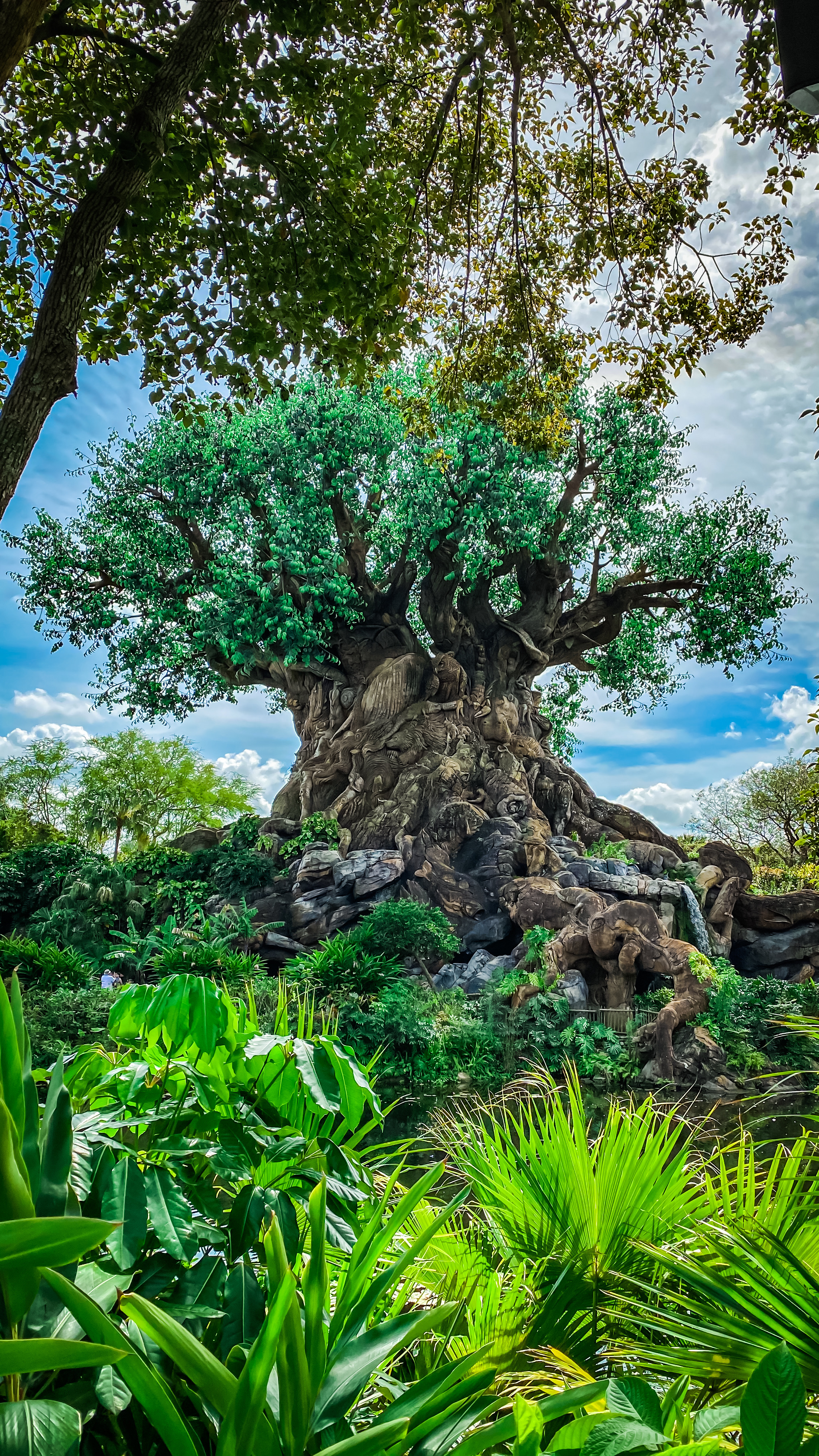Life Tree – A un de ces quatre